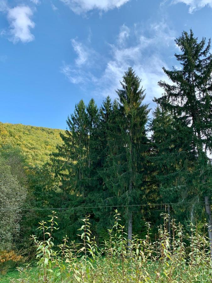 Grand Spa Holiday Home II Sklené Teplice Eksteriør billede